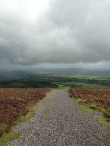 445D9B04-3A35-498B-B1B6-46CDBC15DBC0