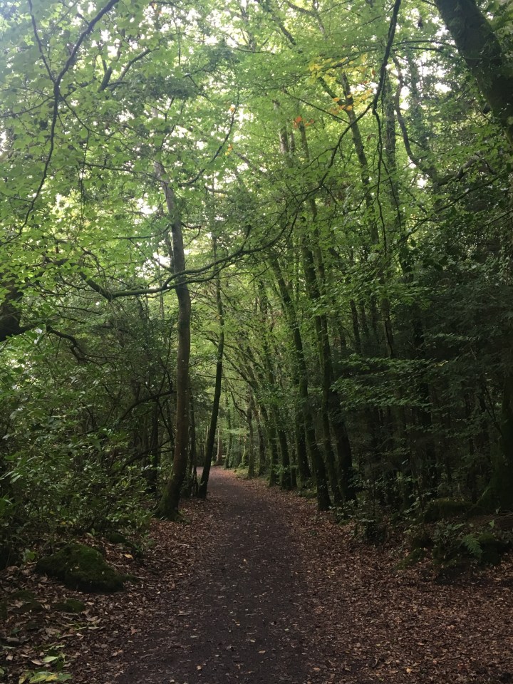 5AE909F2-0567-40D8-B17E-ED13E6D949E7